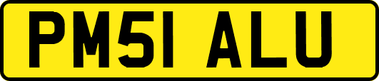 PM51ALU