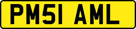 PM51AML