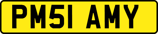 PM51AMY