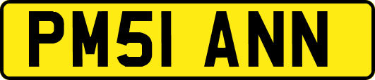 PM51ANN