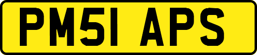 PM51APS