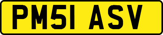 PM51ASV