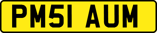 PM51AUM