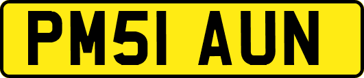 PM51AUN