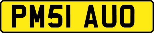 PM51AUO