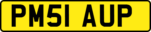 PM51AUP