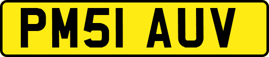 PM51AUV