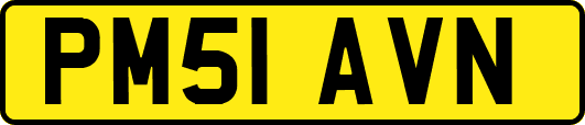 PM51AVN