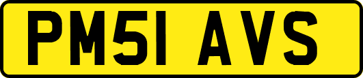 PM51AVS