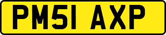 PM51AXP