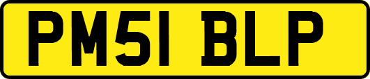 PM51BLP