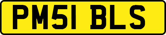 PM51BLS