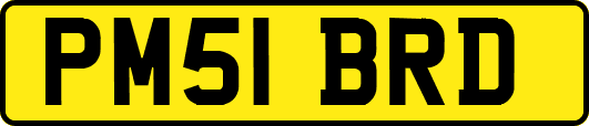 PM51BRD