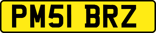 PM51BRZ