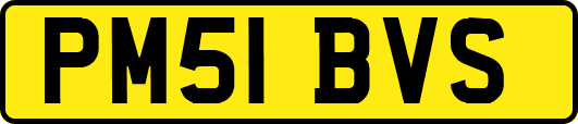 PM51BVS