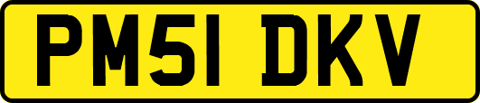 PM51DKV