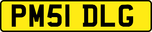 PM51DLG