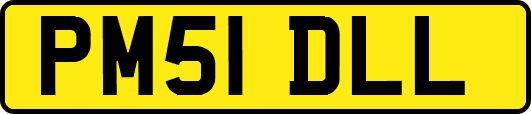 PM51DLL