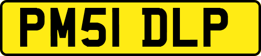 PM51DLP