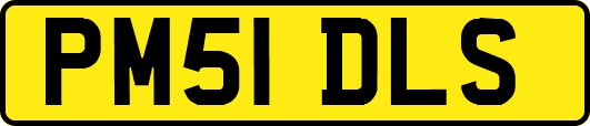 PM51DLS