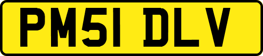 PM51DLV