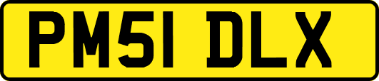 PM51DLX