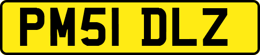 PM51DLZ