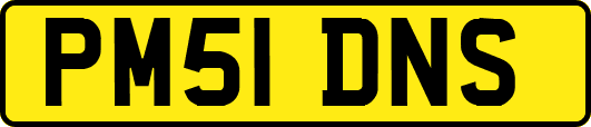 PM51DNS