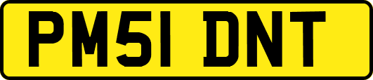 PM51DNT