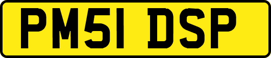 PM51DSP