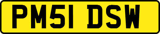 PM51DSW