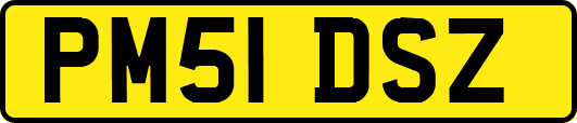 PM51DSZ