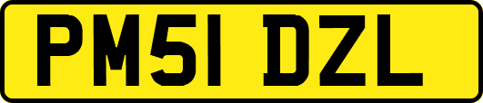 PM51DZL