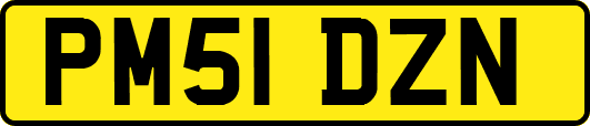 PM51DZN