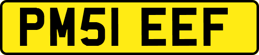 PM51EEF