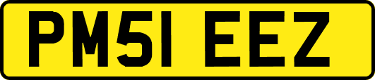 PM51EEZ