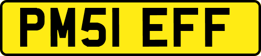 PM51EFF