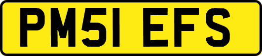 PM51EFS