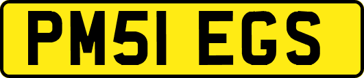 PM51EGS