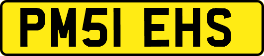 PM51EHS