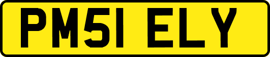 PM51ELY