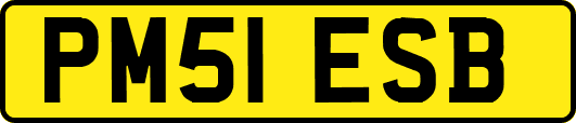 PM51ESB