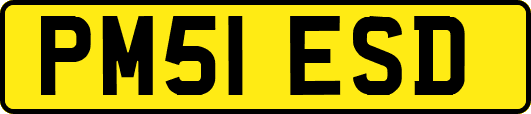 PM51ESD