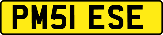 PM51ESE