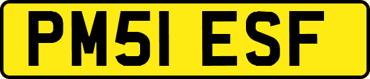 PM51ESF