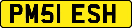 PM51ESH