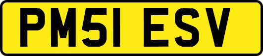 PM51ESV