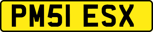PM51ESX