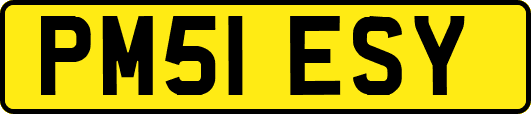 PM51ESY