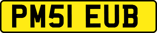 PM51EUB